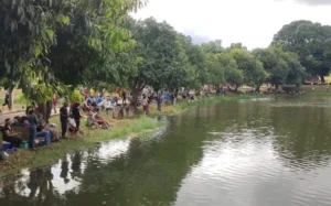 Pescaria em parque de Trindade, em 2020 | Foto: Prefeitura de Trindade/Divulgação
