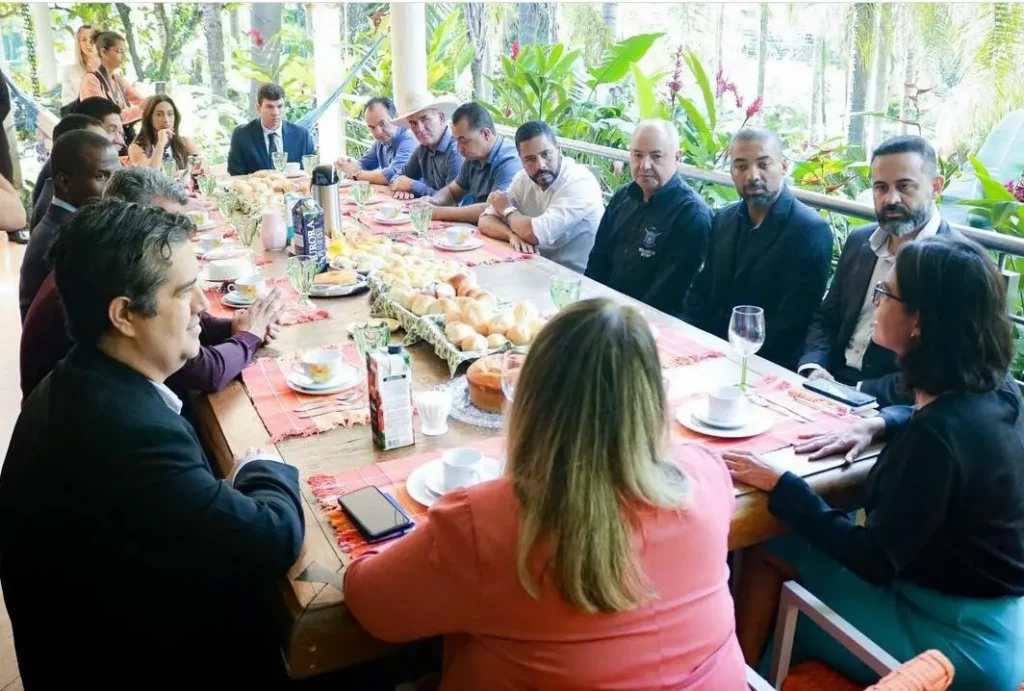 Reunião ocorreu na casa da ex-ministra Flávia Arruda em Brasília e contou com a presença de titulares da gestão Caiado e prefeitos do Entorno | Foto: Reprodução/Redes Sociais