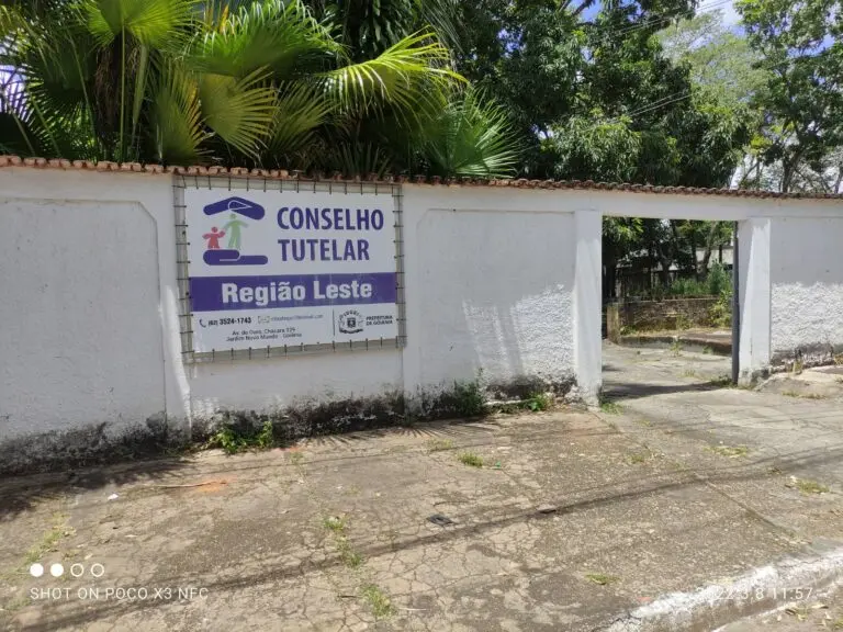 O objetivo dos conselhos é garantir que crianças e adolescentes acessem direitos  | Foto: Divulgação