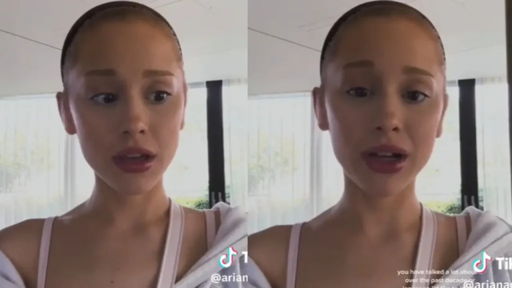 A cantora pediu para que os admiradores fossem gentis uns com os outros | Foto: Reprodução/TikTok
