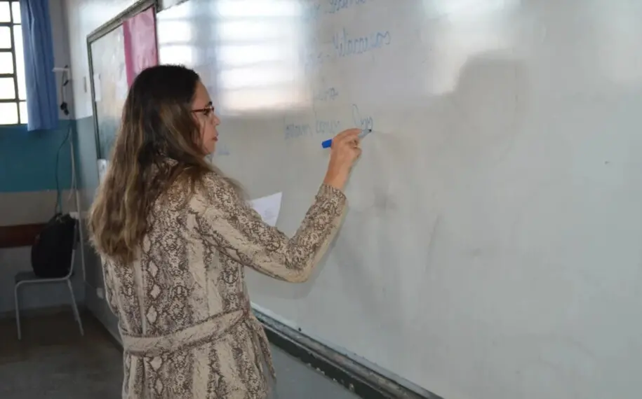 Os selecionados vão atuar na rede estadual de ensino, que atualmente conta com mil escolas e atende mais de 500 mil estudantes em Goiás | Foto: Divulgação