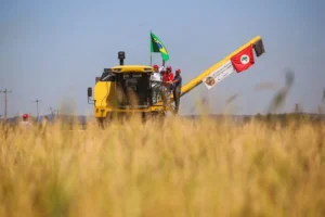 Juíza estabeleceu que sem-terra devem deixar área em 48 horas. | Foto: Renan Mattos