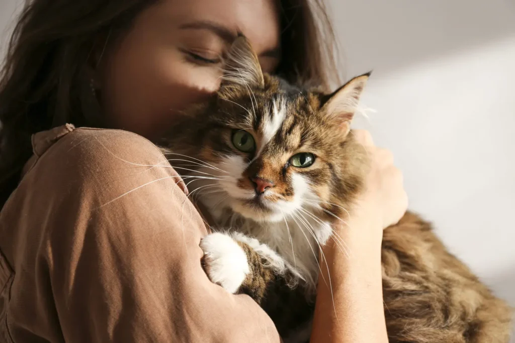 curiosidade sobre gatos