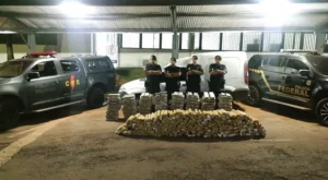 Ação aconteceu em conjunto com a Polícia Federal | Foto: Divulgação/PMGO