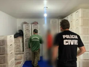 O responsável pelo local que já foi identificado, poderá responder por crime contra as relações de consumo | Foto: PCGO