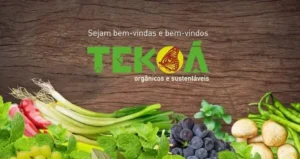 |alimentos-organicos