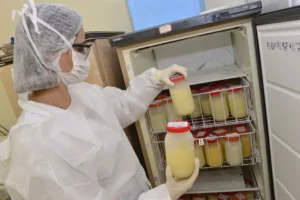 Leite humano tem composição que completa e auxilia na proteção imunológica, na adequação nutricional e no desenvolvimento do bebê. | Foto: Prefeitura