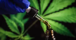 Scientist with gloves researching and examining CBD hemp oil in pipette. Concept of herbal alternative medicine, pharmaceutical industry