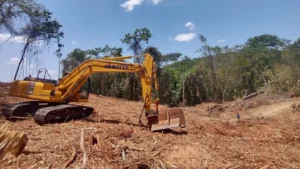 desmatamento-cerrado|