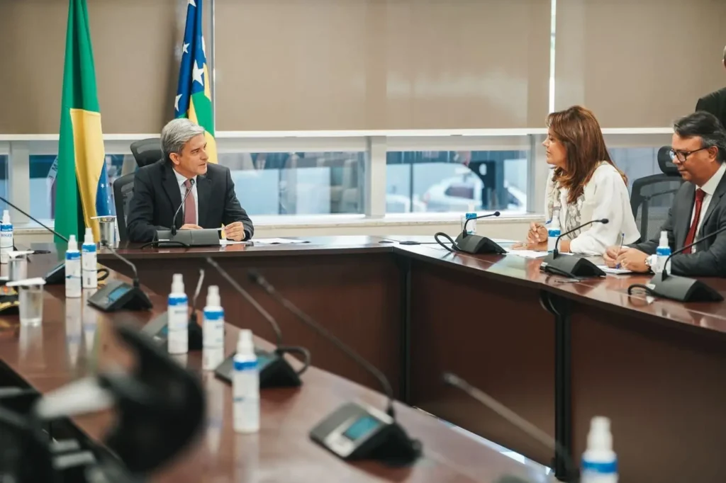 Tema foi debatido durante reunião com a primeira-dama Gracinha Caiado. | Foto: Secom
