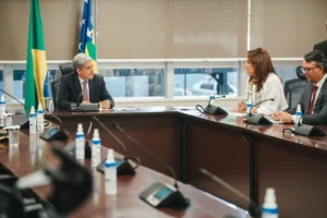 Tema foi debatido durante reunião com a primeira-dama Gracinha Caiado. | Foto: Secom