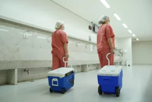 Também houve incremento dos órgãos captados, com 64 rins (aumento de 56%), 13 fígados (30%) e 285 córneas (53,2%) | Foto: SES