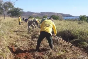 Queima controlada com finalidade de construção de aceiro | Foto: Reprodução/Semad