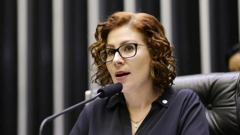 A deputada foi internada no dia 15 de maio. | Foto: Câmara dos Deputados