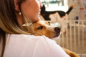 Goiânia, Goias, Brazil – September 17, 2022: Detail of a girl from the back, holding a dog in her arms at an adoption fair.