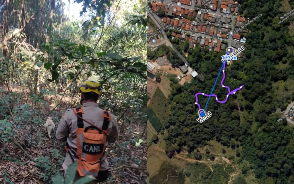 Após coletarem informações de familiares, os bombeiros iniciaram as buscas em uma mata próxima, chamada Buracão | Foto: CBMGO