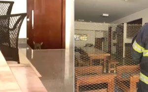 |