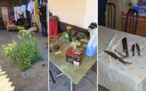 Além das drogas, havia no local veneno de rato, ratos e escorpiões espalhados pela residência, bem como remédios e facões | Foto: PCGO