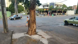 Agência Municipal de Meio Ambiente de Goiânia (Amma) fará ação de orientação à população. | Foto: Prefeitura de Goiânia