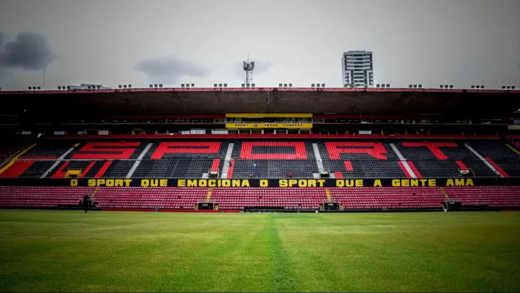 Briga dos felinos (Foto: Igor Cysneiros / Sport Club do Recife)