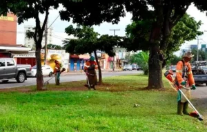 No início de maio, um motorista teve o vidro do carro quebrado por uma pedra que foi arremessada enquanto equipe da Comurg realizava a poda | Aroldo Costa