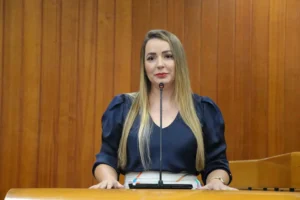 A proposta foi aprovada no dia 28 de março, um dia após a morte de Elisabeth Tenreiro, vítima de um ataque em escola de São Paulo | Foto: