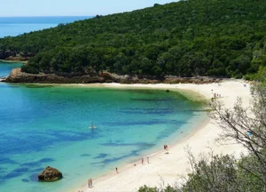 Com vastas zonas à beira-mar, as opções vão das praias urbanas às multiculturais | Foto: Reprodução