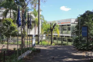 As inscrições podem ser feitas até o dia 21 de agosto | Foto: Comunicação/ICMC USP