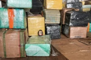 O material apreendido estava envolta de fita plástica, já que foi divido em 1,5 toneladas de maconha | Foto: Divulgação/Polícia Federal