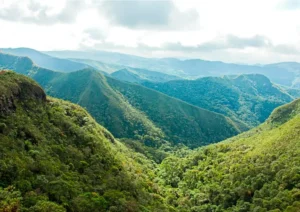 Dados do MapBiomas apontam que o desmatamento na Mata Atlântica teve queda de 42% nos primeiros meses de 2023 | Foto: Divulgação / Paulo Baptista