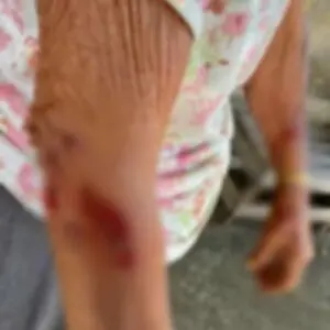 Filho é preso suspeito de espancar e extorquir R$ 7 mil da mãe de 84 anos | Foto: Reprodução / PCGO