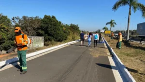 A Comurg executou serviço de limpeza no trecho de 14 quilômetros da GO-060, conhecido como Rodovia dos Romeiros | Foto: Secom
