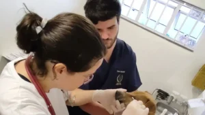 A unidade realizou 422 atendimentos diários em junho, como consultas com clínico geral e emergência, diagnóstico de imagem, consulta com neurologista e bioquímica | Foto: Amma