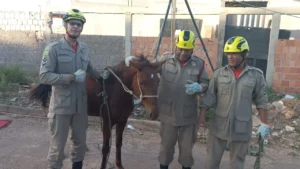 bombeiros-egua-cisterna