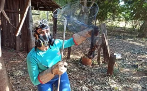 Ação integra estratégia desenvolvida para prevenir e controlar a doença, que é uma zoonose fatal e pode causar prejuízos econômicos e afetar a saúde humana. | Foto: Secom
