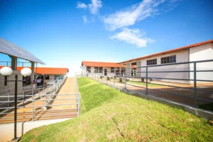 Recurso será usado na reforma e reconstrução de 13 escolas, como o Colégio Estadual General Curado. | Foto: Secom