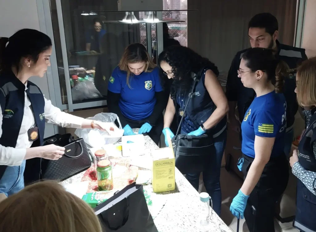Agentes de segurança pública vasculham caixas em busca de provas em um dos endereços alvos de busca e apreensão | Foto: Divulgação/PCGO