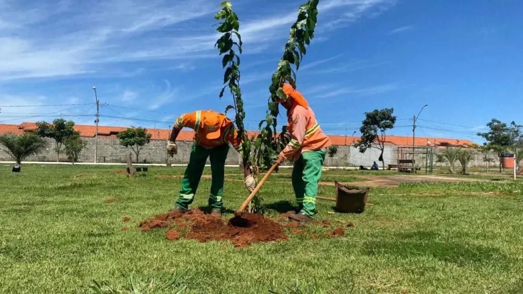 Desde início do ano as 25 mil árvores e arbustos foram plantados, e outras 47 mil produzidas pela Comurg ganharam espaço na cidade | Foto: Luciano Magalhães/Comurg
