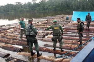 O provimento dos 24 analistas administrativos, 100 analistas ambientais e 133 técnicos ambientais ficará condicionado à existência do quantitativo de vagas | Foto: Divulgação/Ibama