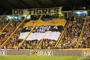 Adversários diretos na briga pelo acesso, Vila e Criciúma medem forças no Heriberto Hülse (Foto: Celso da Luz / Criciúma E.C.)