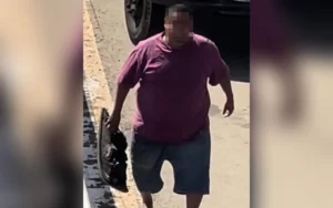 Após prisão, o suspeito disse que cometeu o crime em um momento de “bobeira” | Foto: PRF