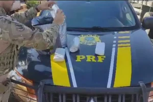 PRF encontra bolsa térmica cheia de droga em ônibus interestadual, em Goiânia
