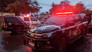 Operação Conjunta da Polícia Civil e Federal revela rede de abuso virtual com jogos online como isca, enquanto suspeito produzia e compartilhava pornografia infantil | Foto: Divulgação / PCPR
