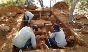 Ferraz fez, desde a extração do pó de osso, onde fica retido o material com DNA antigo, até a análise dos dados e a interpretação dos resultados | Foto: Edilson Teixeira
