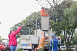 centro-goiania