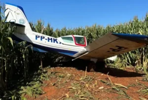 Avião monomotor fez um pouso forçado milharal na zona rural de Luziânia no dia 3 de junho | Foto: Reprodução
