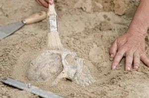 Ancestral do Homon sapiens quase foi extinto, diz estudo
 | Foto: Divulgação