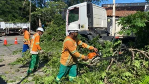 A retirada de árvores e galhos em vias públicas é feita em vista de possíveis aumentos de chuvas e ventania na capital. Foto: Divulgação | Luciano Magalhães Comurg