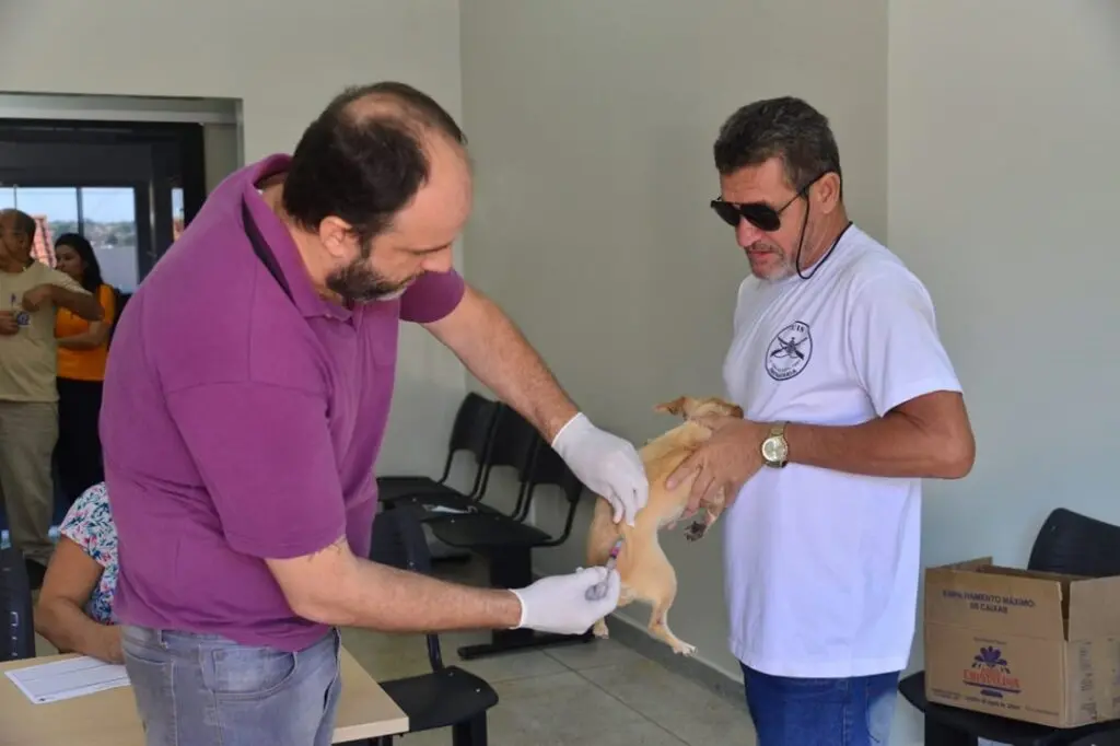 A vacina só não é indicada para animais doentes, subnutridos, com alta carga parasitária e em condições de estresse. | Foto: Divulgação / Prefeitura de Aparecida