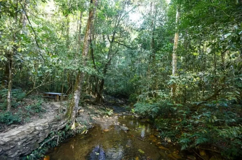 Feriado de 12 de outubro impulsiona turismo e lazer em Goiás e em Pirenópolis, conheça a natureza no Santuário | Foto: Reprodução